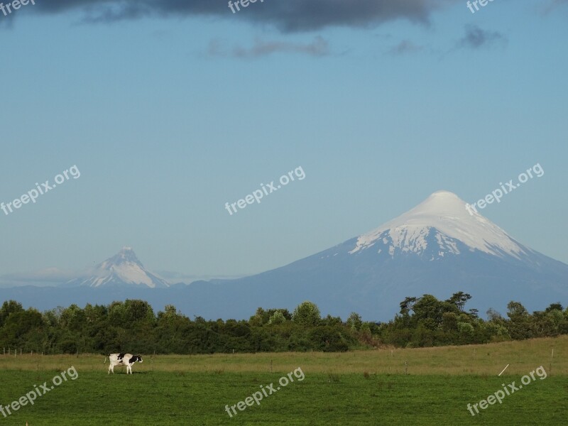 Osorno Volcano Cow Field Prairie Landscape