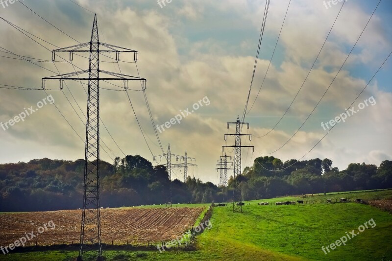 Landscape Nature Forest Of Course View