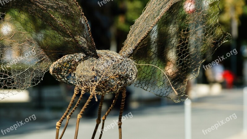 Sculpture Insect Butterfly Art Wire