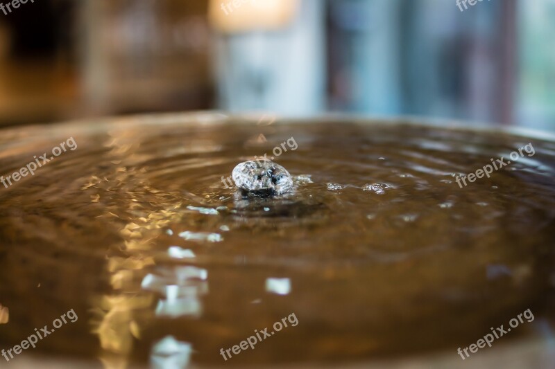 Water Water Drop Drop Clear Wave