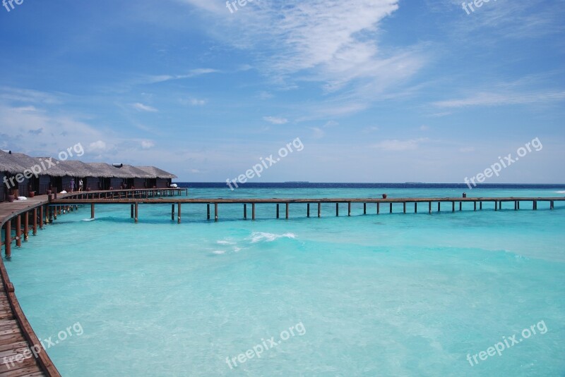 The Sea Maldives Views Beach White Sands