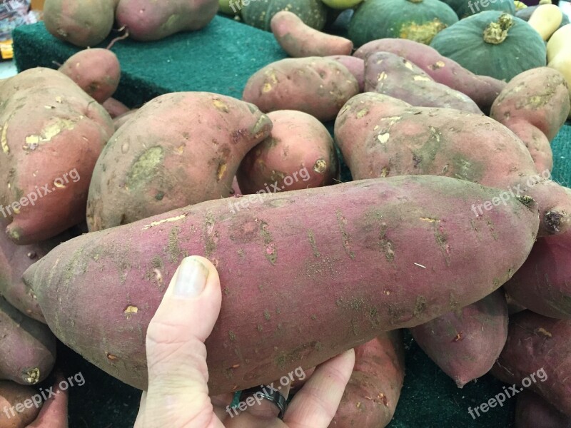 Sweet Potato Vegetable Orange Yam