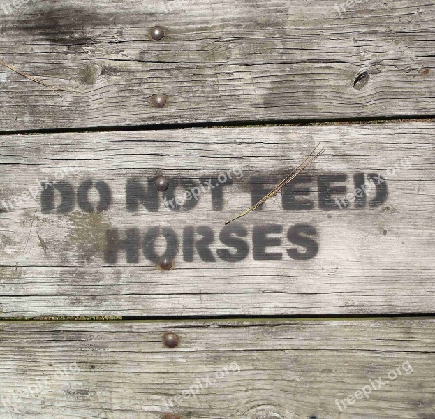 Picnic Table Top Assateague Island Sign Notice