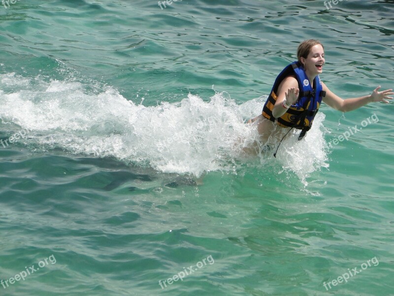 Dolphin Treading Water Swimming Together Pool