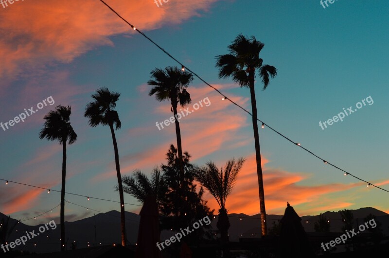 Palmsprings Palmtrees Sunset Dusk Pinkclouds