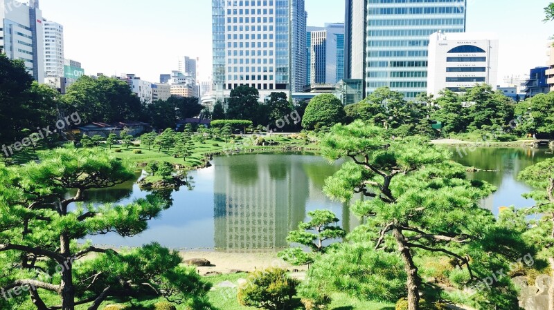 Japanese Park Garden Tokyo Asian