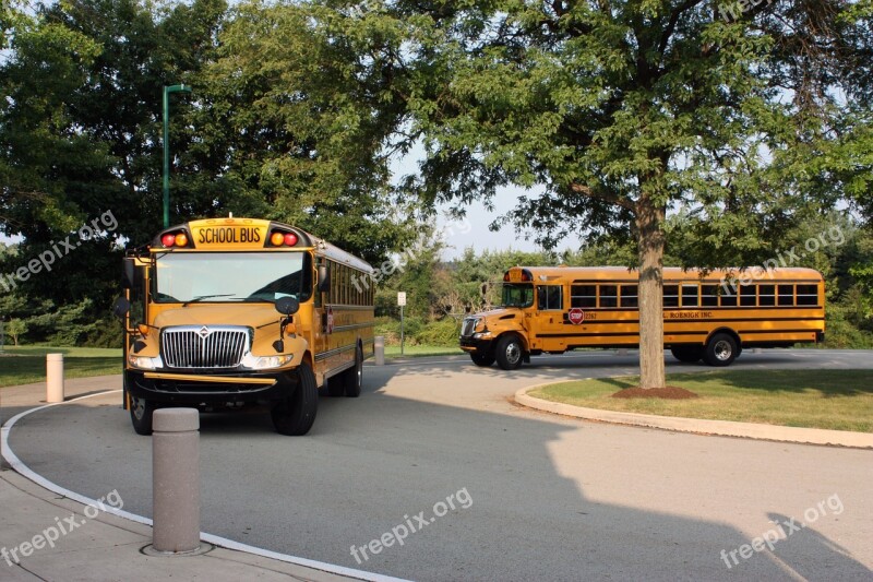 School Bus Bus School Transportation Education