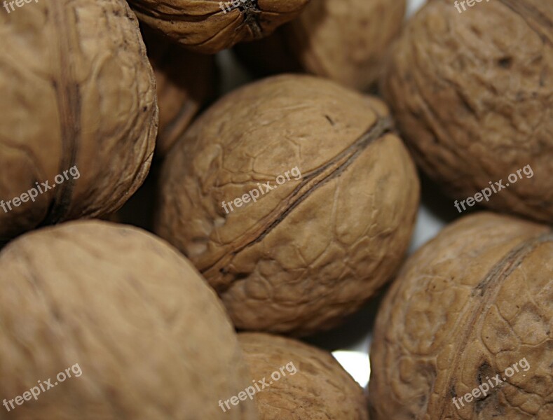 Walnut Nuts Fresh Tasty Food