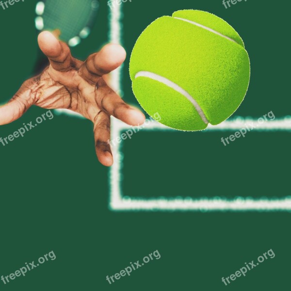 Tennis Athlete Sport Free Photos