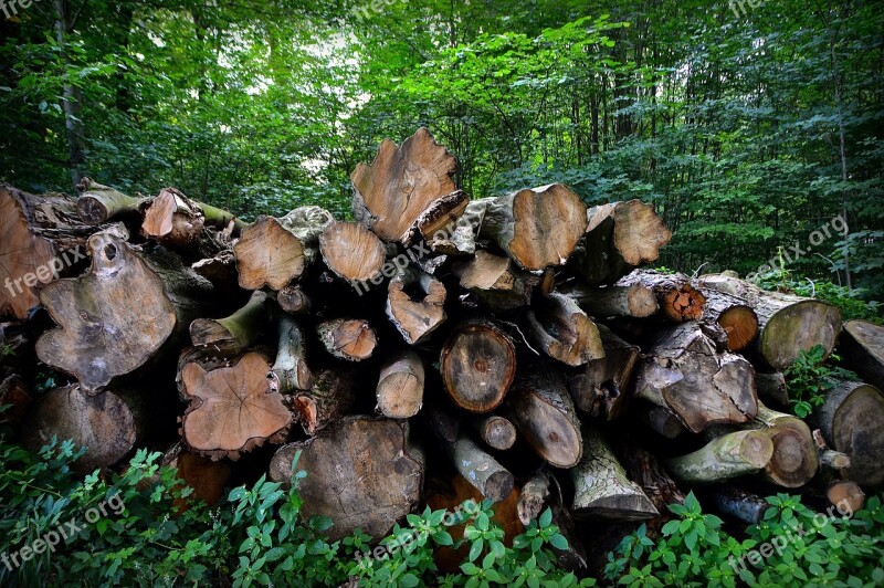 Trees Strains Tree Stack Log Tree Bark