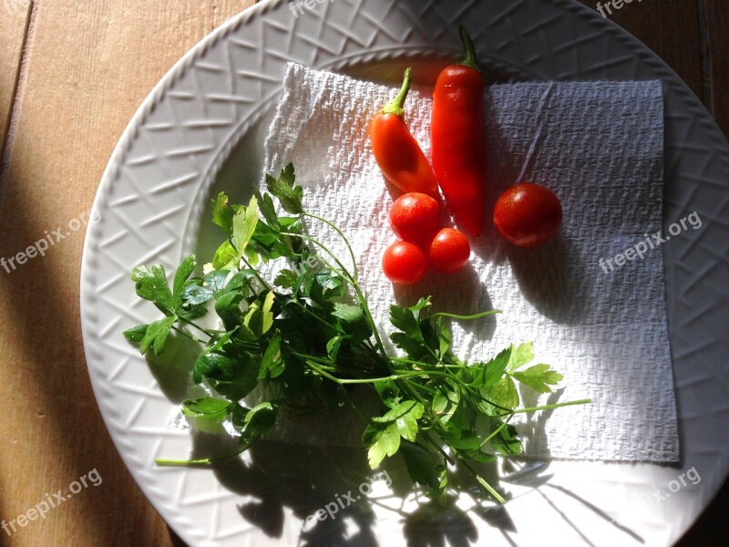 Herbs Peppers Garden Parsley Food