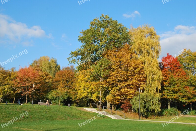 Autumn Colorful Leaves Fall Foliage Trees