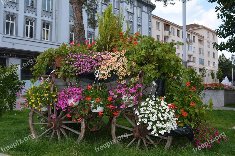 Flowers Arrangement Wheel Old Rustic