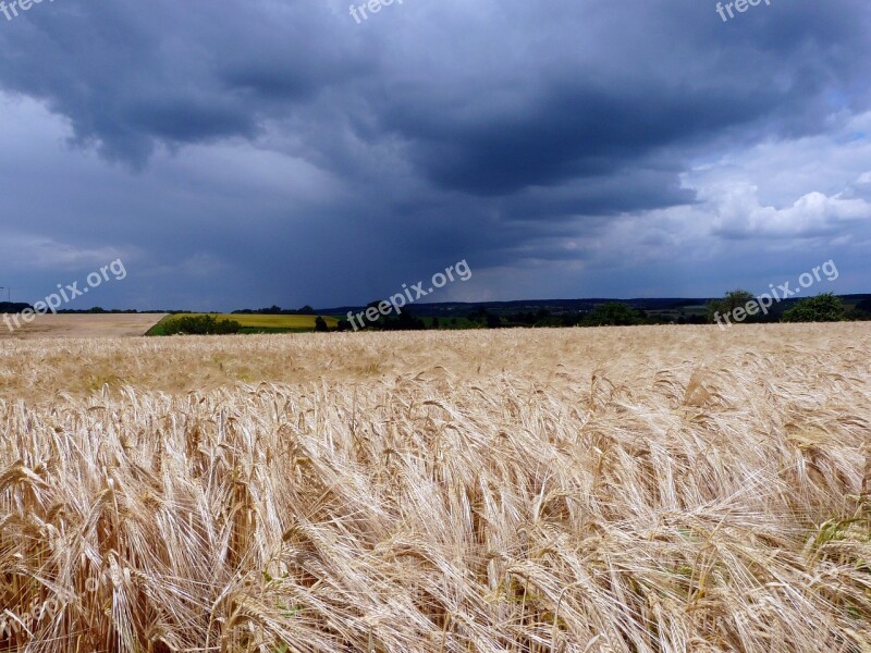 Field Landscape Dark Clouds Threatening Free Photos