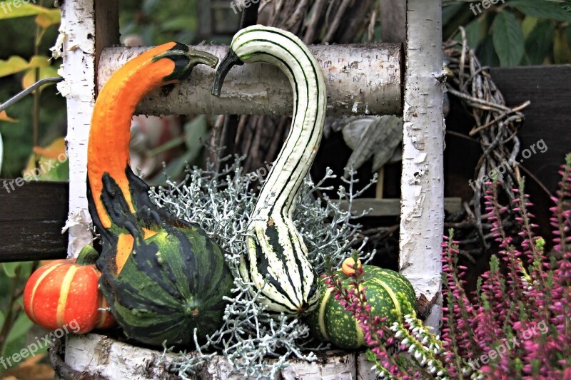 Decoration Autumn Decorative Gourd Deco