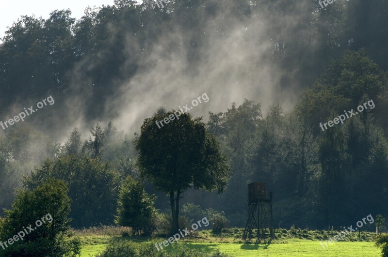 Forest Fog Trees Nature Mystical