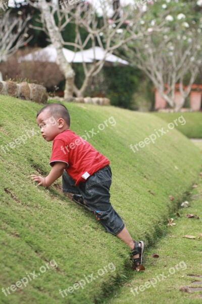 Child Boy Park Happy Fun