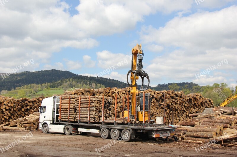 Tir Truck Transport Wood Logs