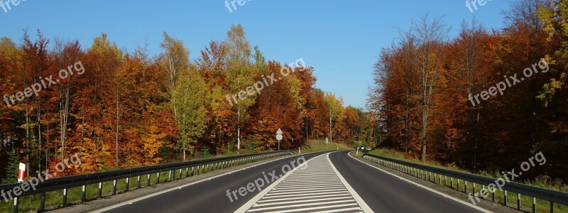 Autumn Foliage Way Autumn Gold Landscape