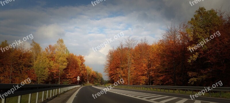 Autumn Landscape Tree Poland Olkusz Highway