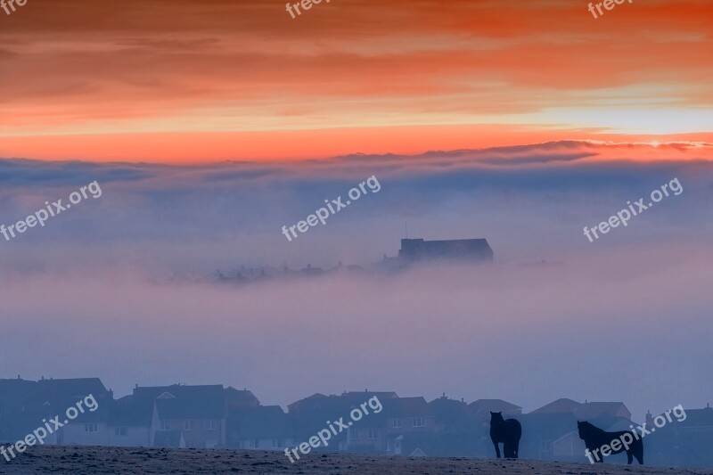 Fog Foggy Sunset Horses Mist