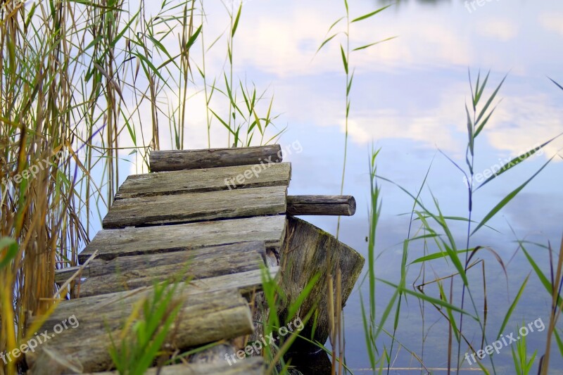 Bridge Wooden Pond Lake The Coast