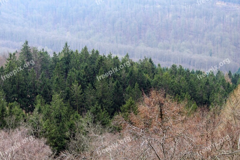 Teutoburg Forest Forest Landscape Autumn Tourism