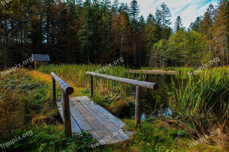 Pond Water Nature Landscape Bridge