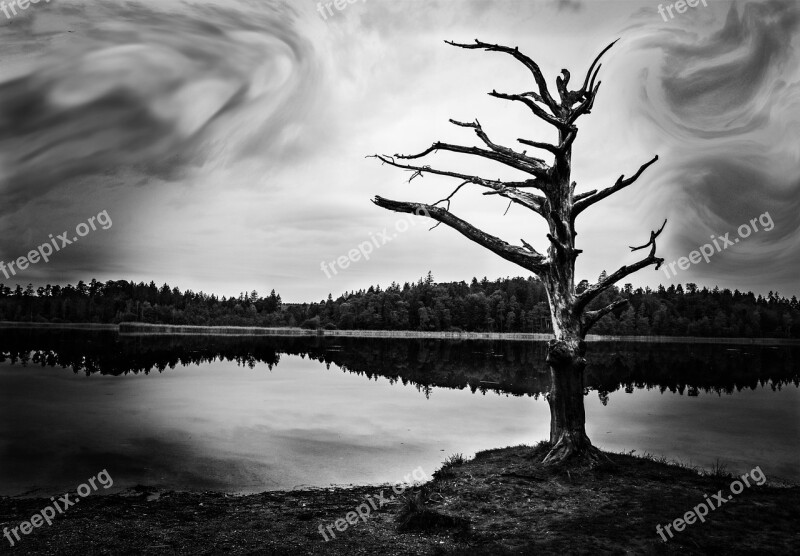 Nature Lake Landscape Sky Black