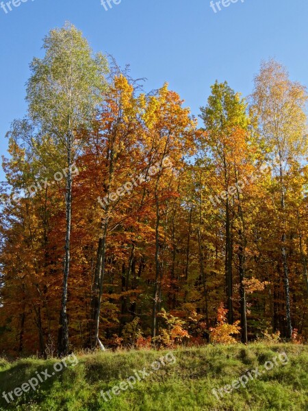 Autumn Poland Landscape Olkusz Colors