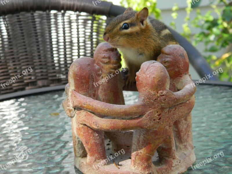 Chipmunk Friends Posing Striped Rodents