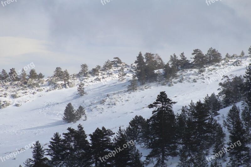 Snow Kartalkaya Winter Oktay Free Photos