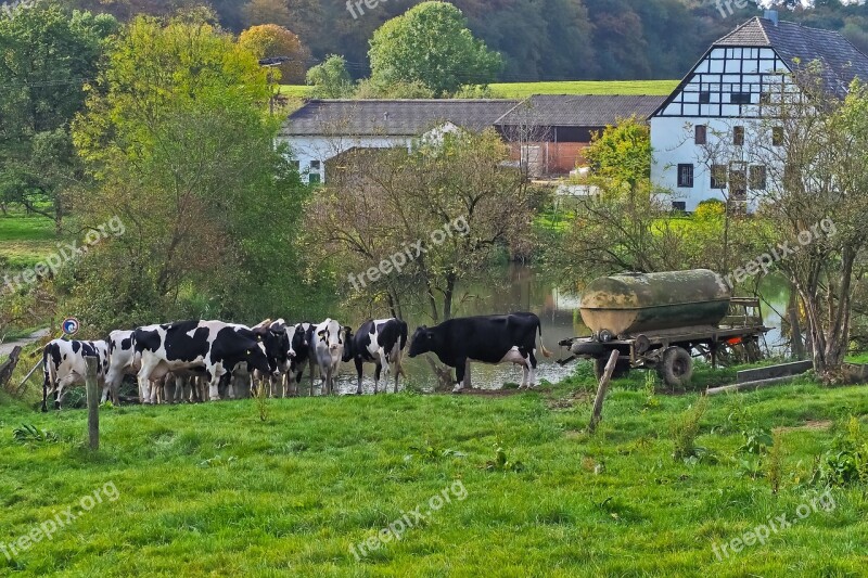 Landscape Farm Nature Agriculture Meadow