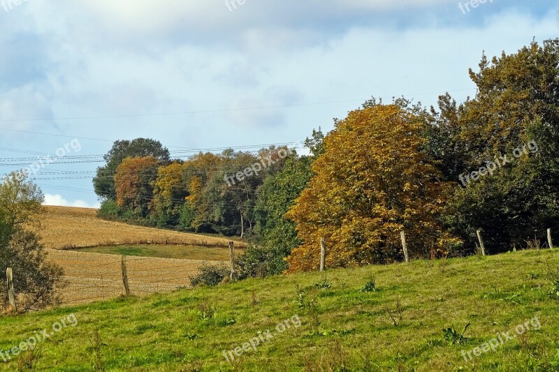 Landscape Autumn Nature Trees Plant