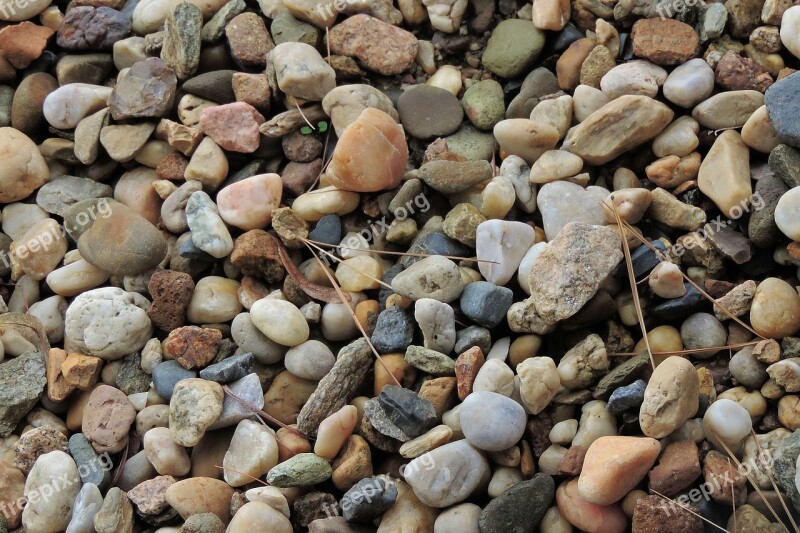 Pebble Pebbles Stones Bank Free Photos