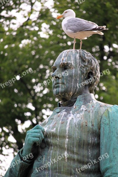 Gull Statue Bird Droppings Degrading Bird