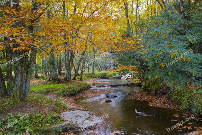 Landscape Peaceful Scenery Nature Autumn