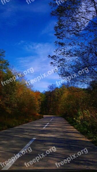 Autumn Jesen Auto Road Car