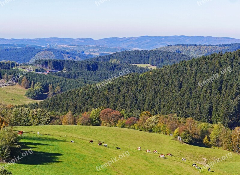 Sauerland Homert Highlands Schomberg Forest