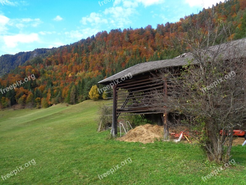 Autumn Nature Golden Autumn Fall Foliage Landscape