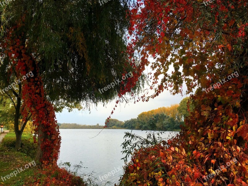 Nature Landscape Autumn Trees Fall Foliage