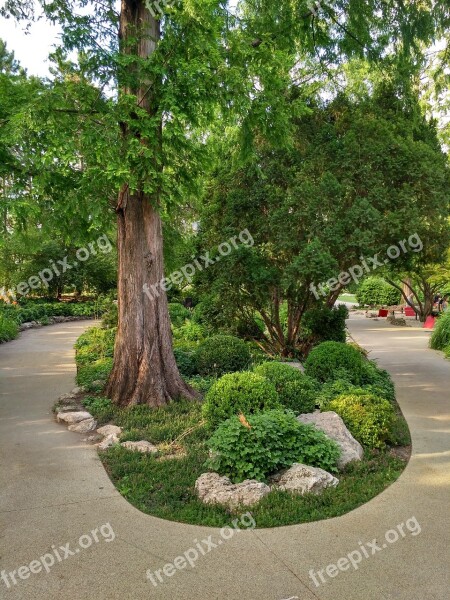 Margaret Island Park Budapest City Margaret