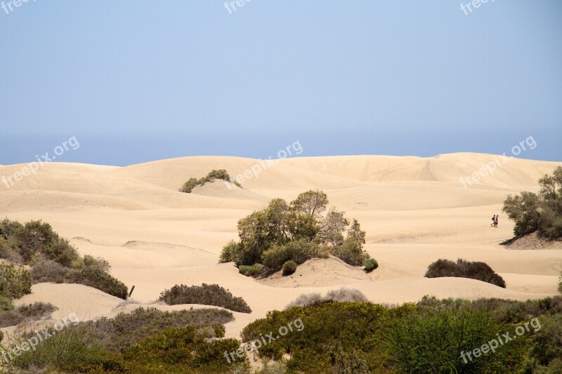 Maspalomas Dunes Sand Dunes Gran Canaria Beach