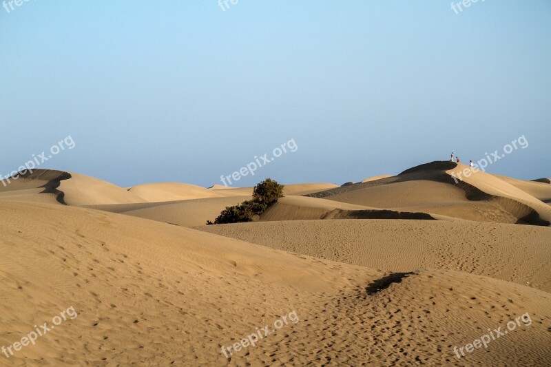 Maspalomas Dunes Sand Dunes Gran Canaria Beach