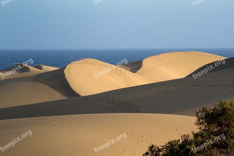 Maspalomas Dunes Sand Dunes Gran Canaria Beach