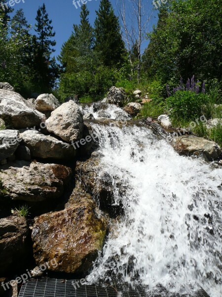 Cascade Waterfall Water Forest Waterfall Rockefeller Preserve