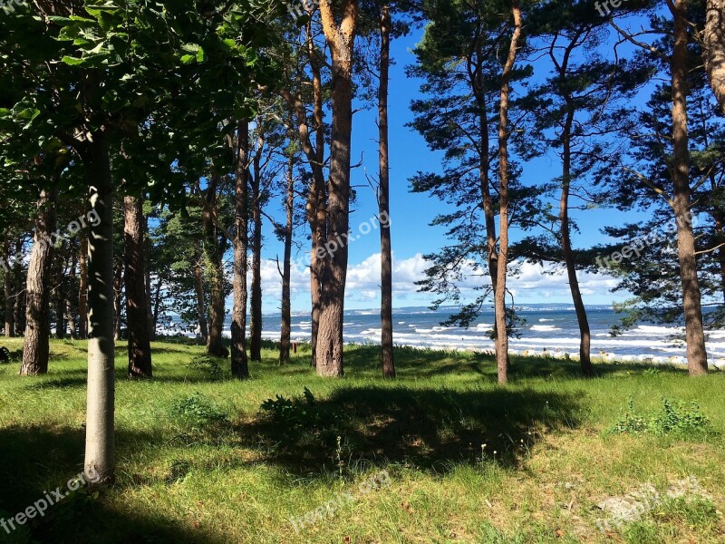 Sea Forest Lan Landscape Summer