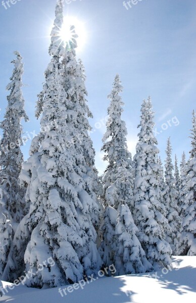 Landscape Winter Snow Scenic Olympic National Park