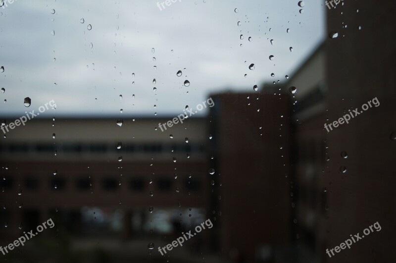 Non Tabitha Window Glass Raindrops