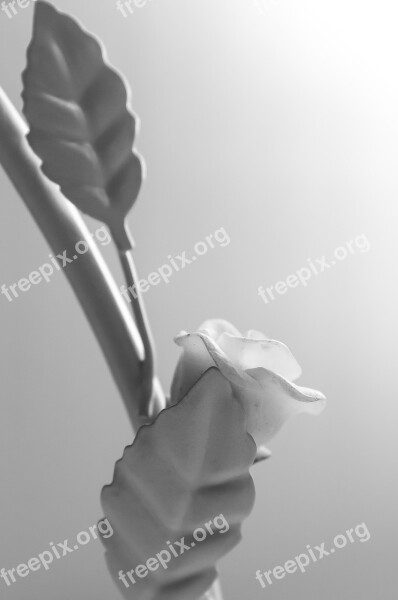 Rose Leaves Candlestick Stalk Black And White